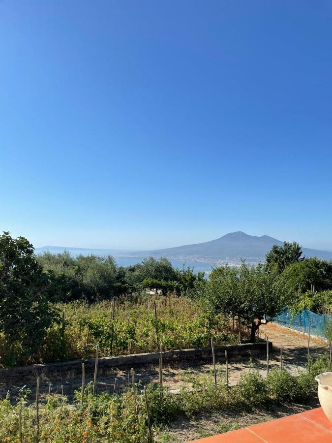 Villa Palipano House Pimonte Exterior foto